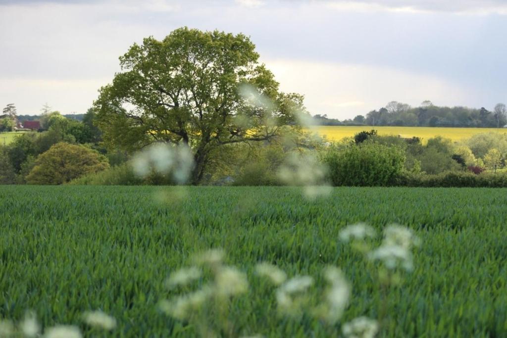 Lovely 3 Bedroom House In The Centre Of Lavenham Buitenkant foto