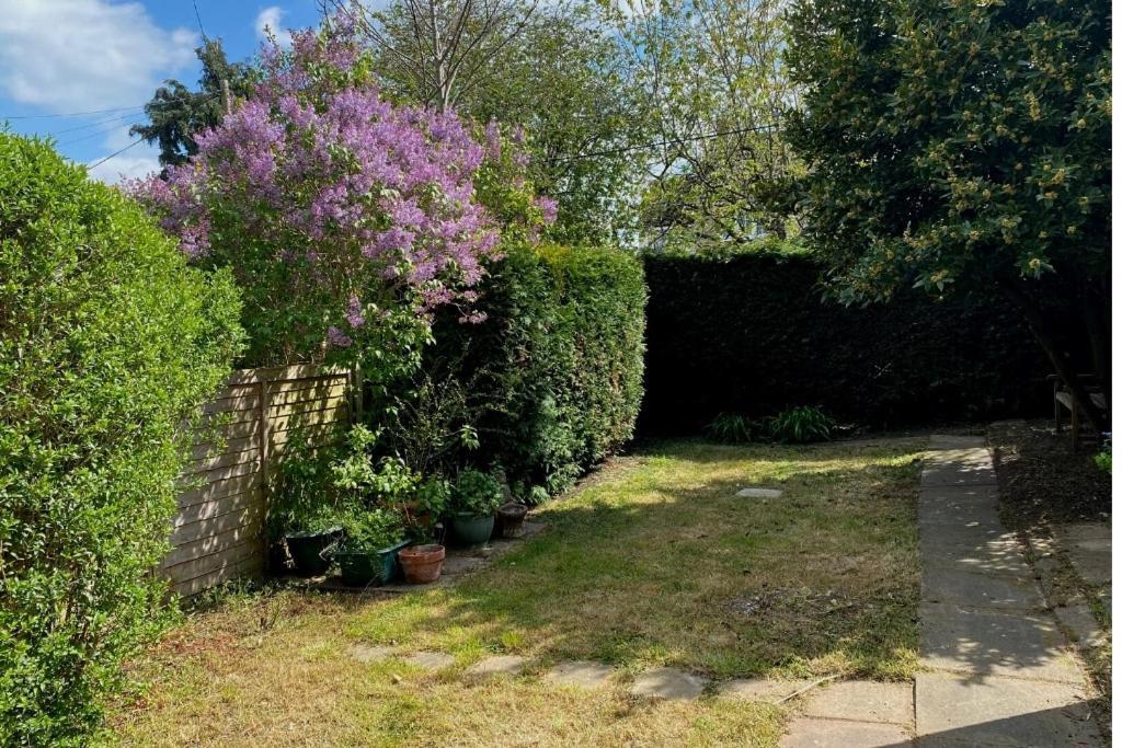 Lovely 3 Bedroom House In The Centre Of Lavenham Buitenkant foto